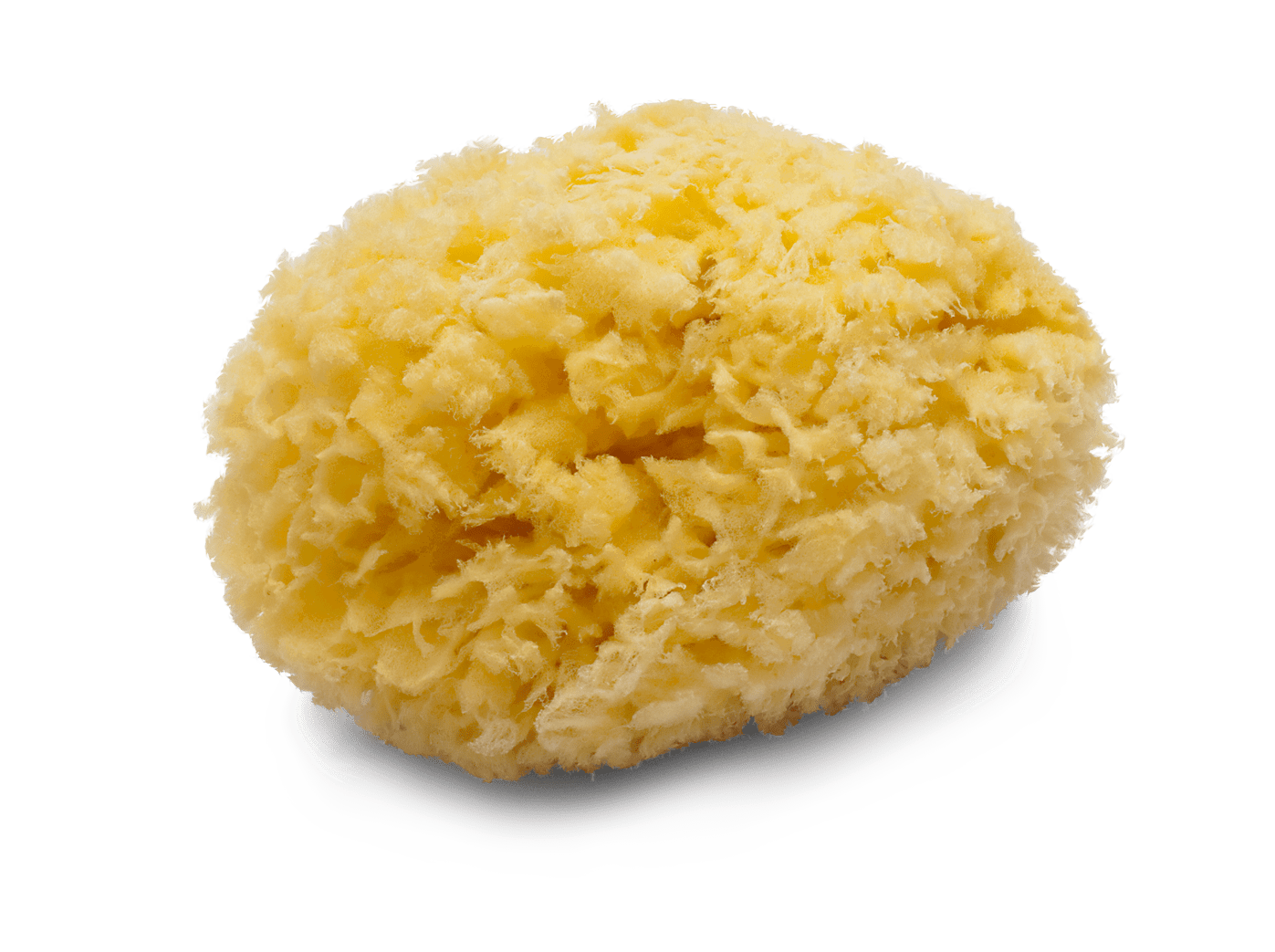 Gąbka naturalna